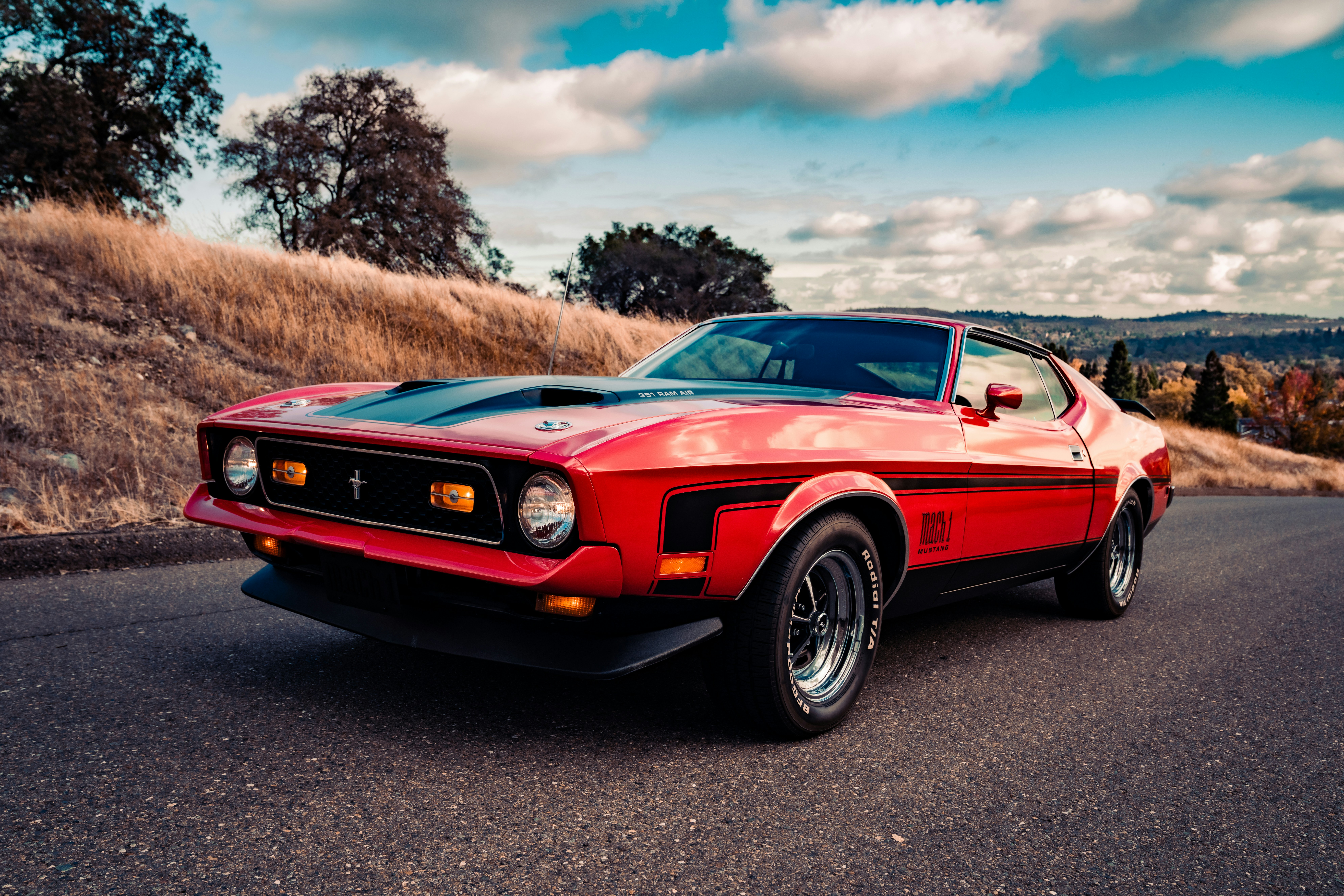 Red Mustang with Black stripes