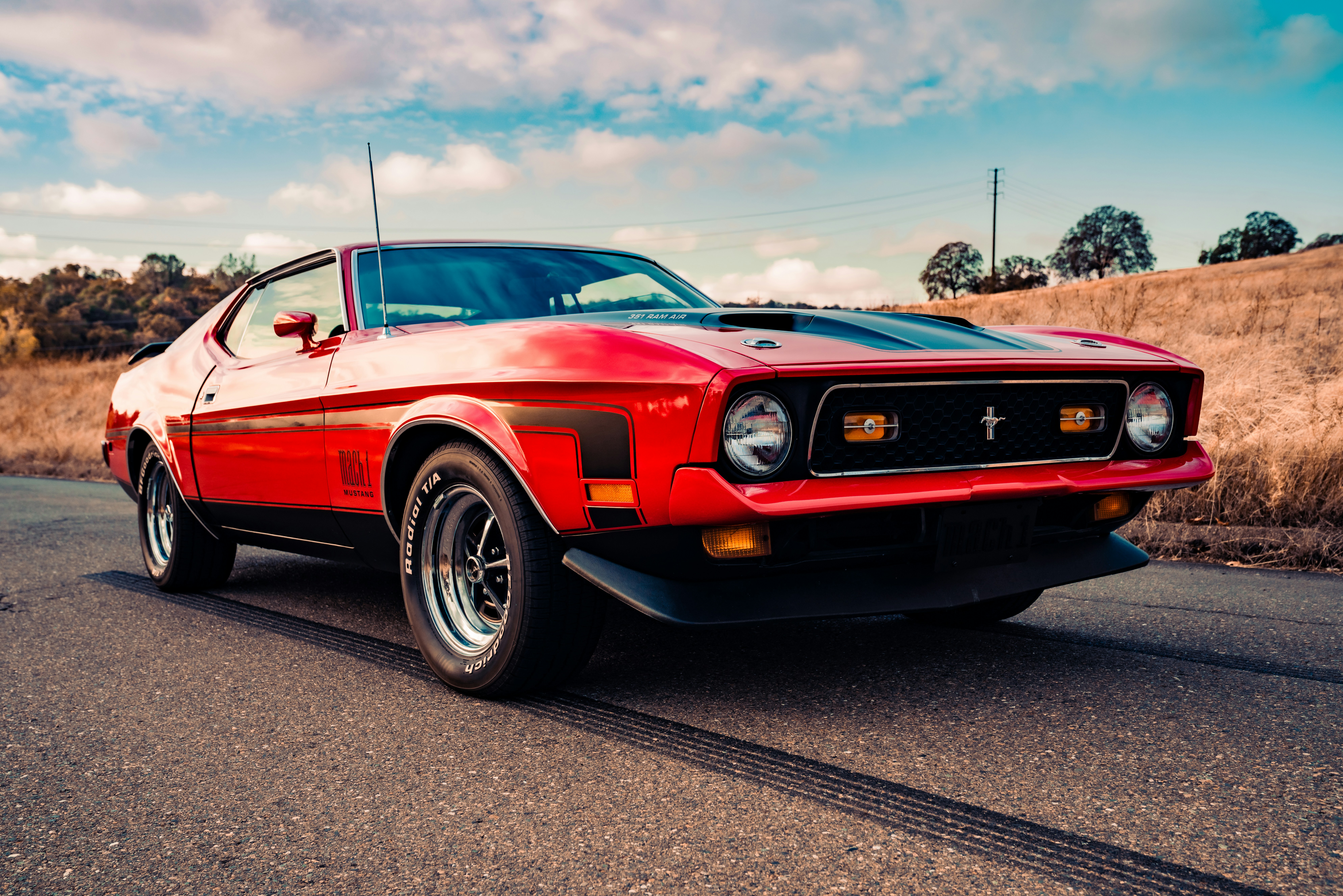 Red Mustang with Black stripes, picture number 2